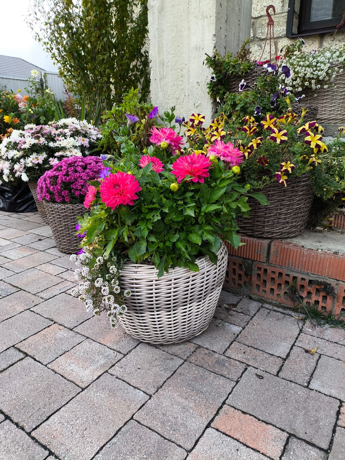 "Кашпо из градиентов: покупай стильные лоты мягкой, медиум и жесткой текстуры!"