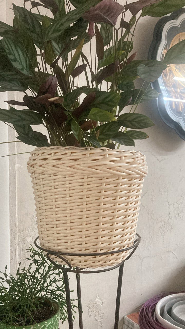 "Красота ротанга от Любови Санниковой: пишите в сообщения группы!"