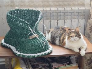 "Элегантные ботиночки от Жанны Булыгиной с уникальным помощником: специальная акция в честь ДР Южной лозы!"