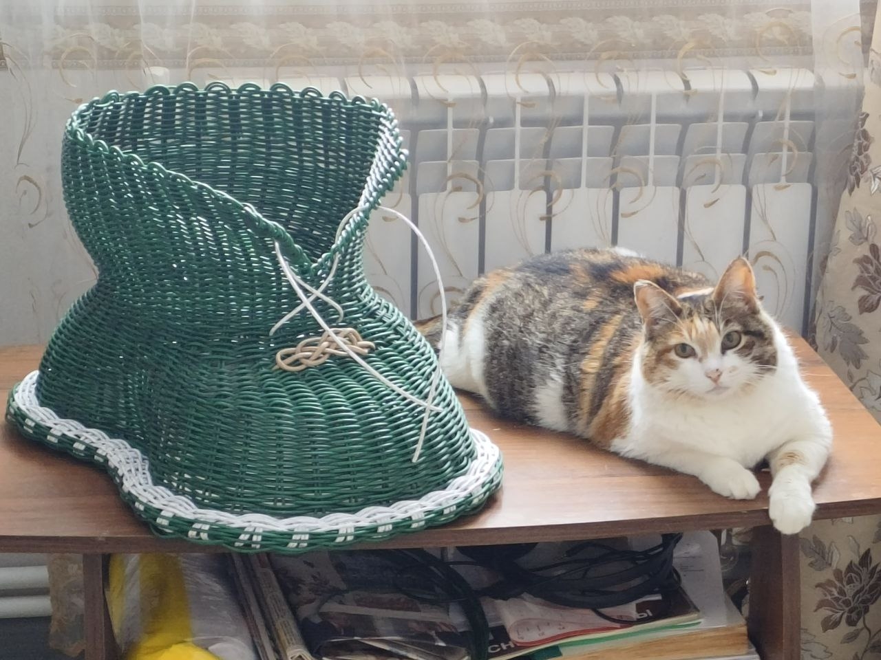 "Элегантные ботиночки от Жанны Булыгиной с уникальным помощником: специальная акция в честь ДР Южной лозы!"