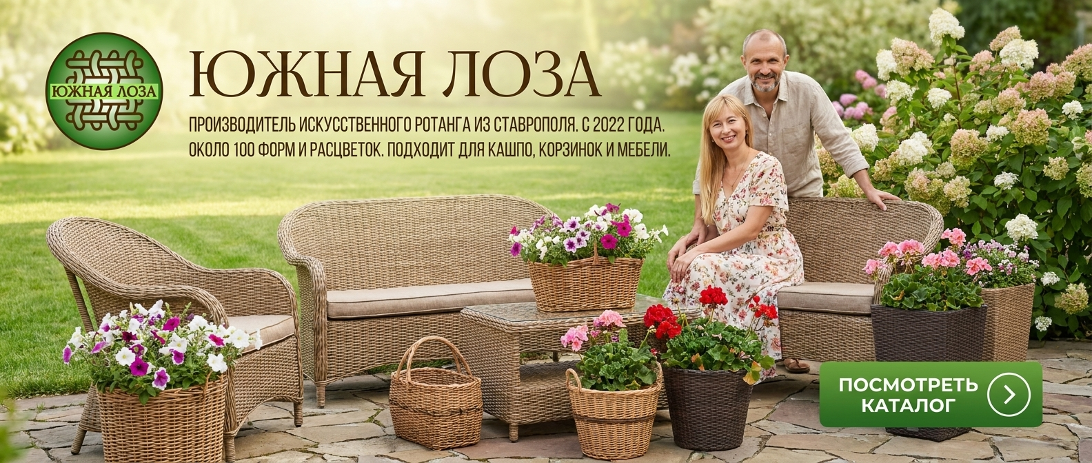 Посмотреть каталог в Телеграм