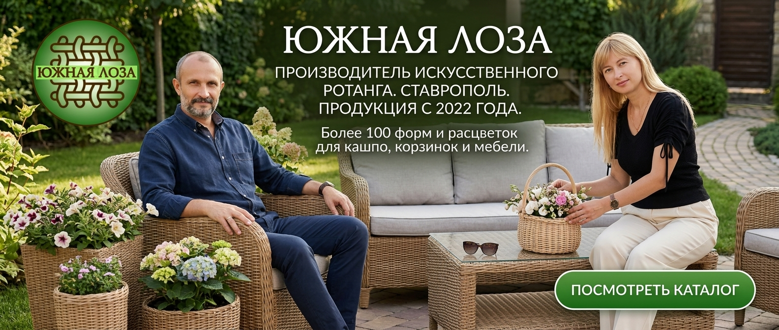 Посмотреть каталог в Телеграм