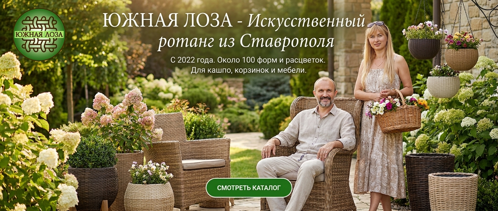 Посмотреть каталог в Телеграм